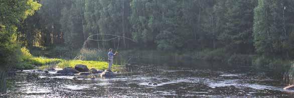 Idag är Gustavsfors internationellt känt för sitt fiske. Gustavsfors fiskevårdsområde, som bildades 1978, satsade på ädelfisk och är idag mycket populärt för sportfiskare från när och fjärran.