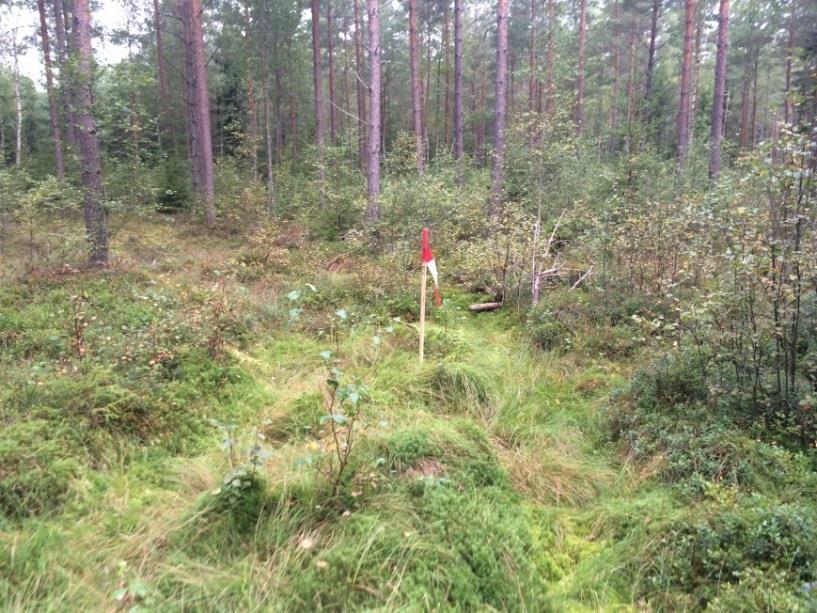Gullspångs kmmun PM