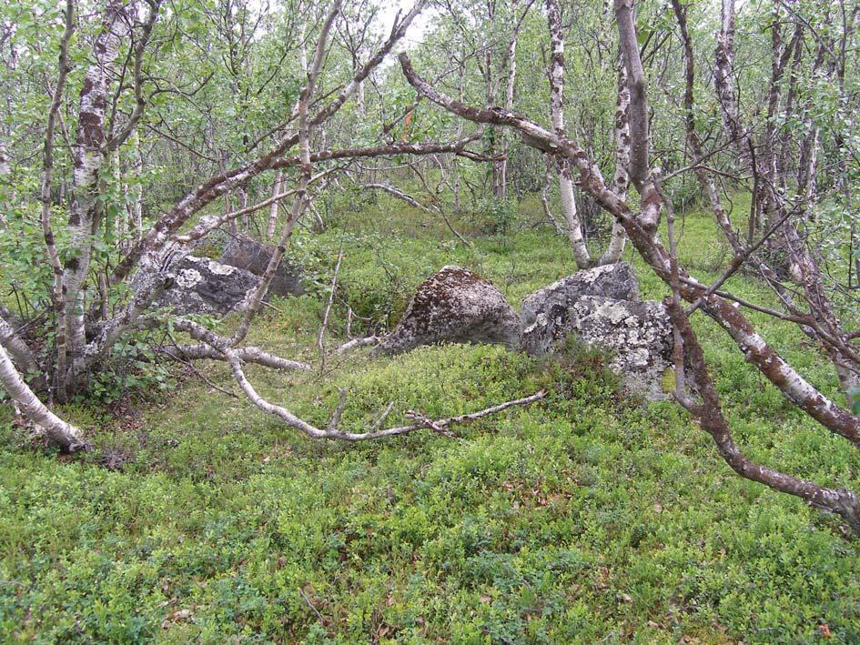 RAPPORT KIRUNAPROJEKTET Ny järnväg, Kiruna Utökning av områden intill bankorridorer.