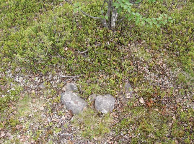 NORRBOTTENS MUSEUM Dnr 303-2006 höjderna till en mera frodig växtlighet av mossa, bärris och vide på vissa, mera låglänta partier.