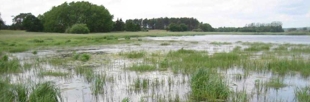 VÅTMARKER I URBANA OMRÅDEN ÄR VÄRDEFULLA För att motverka följderna av klimatförändringen behövs fler våtmarker i urbana områden För att motivera genomförandet