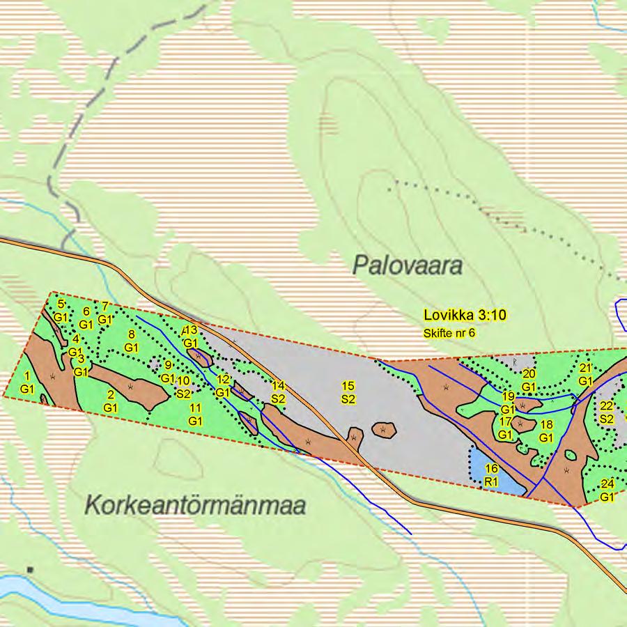 Skogskarta över Lovikka