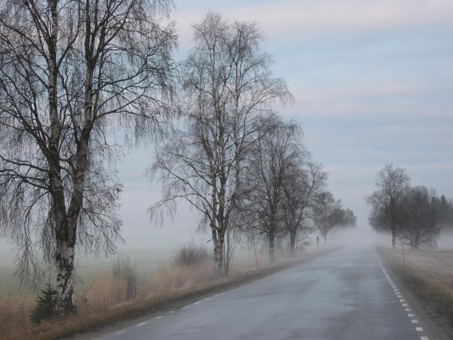Kulturmiljö Längs aktuell sträcka finns en skyddsvärd allé i Estermark enligt dåvarande Vägverkets inventering. 741 Det finns inga kända forn-eller kulturlämningar inom förstudieområdet.