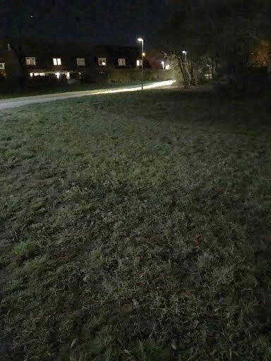 Dialog med boende gående med hund. Personen påpekar att kommunen har dålig koll på lamporna och att det är sårbart på grund av att när en lampa släkts blir det väldigt mörkt.