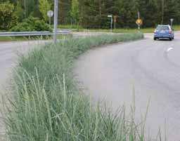 Mittremsans bredd varierar därför i ytlägen mellan 6 meter ner till ca 2 meter som är det generella måttet på mittremsan. Mittremsan bör vara neutral och enhetlig, lättskött och tilltalande.