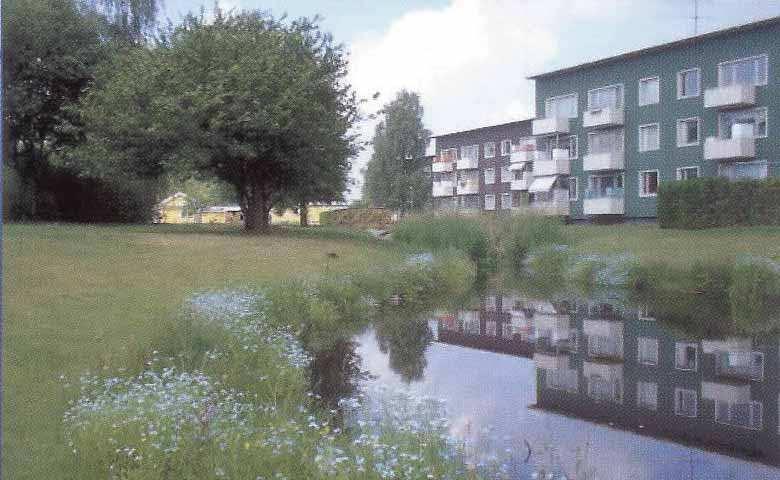 DAGVATTENDAMMAR VÄGARKITEKTUR Förutsättningar Dagvattendammar finns vid alla ytlägen.