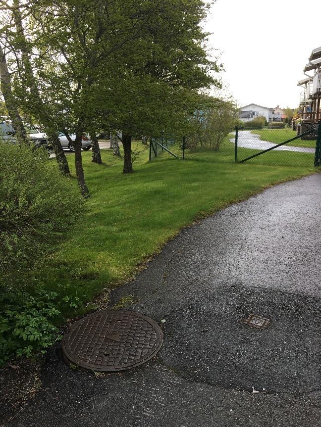 De östra delarna av planområdet utgörs av en parkeringsyta.