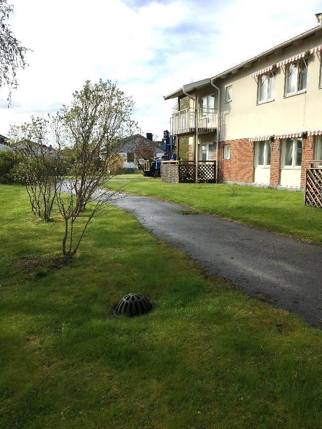 I Figur 4 visas ytterligare en kupolbrunn som ligger på östra sidan av byggnaden, intill gångvägen. Vid den ursprungliga utformningen av ytan har sannolikt denna brunn legat i en lågpunkt.