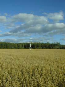 mark Typ: regional bakgrund Mätplatsen är belägen på landsbygden i öppen mark, 15 km nordväst