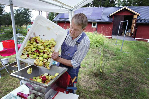 Du kan använda alla sorters äpplen, stora och små, sura och söta och även fallfrukt. Vi erbjuder dig att använda vår utrustning.