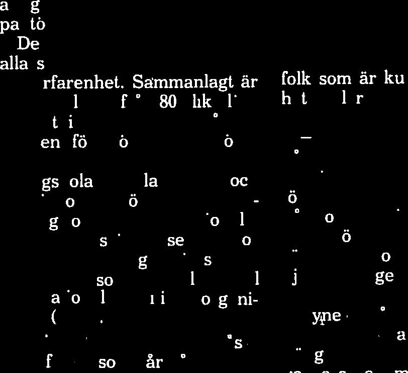 sjofartsinspektörer ant rade hans bat oth började leta igenom minsta skrymsle efter fel och brister.. Hon är redan god kãnd av den svenska sjö fartsinspektionen, sade han lugnt.