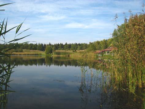 Djurgårdssjöar Spegeldammen Spegeldammen (eller Solfångardammen) ligger på Norra Djurgården inom Nationalstadsparken.