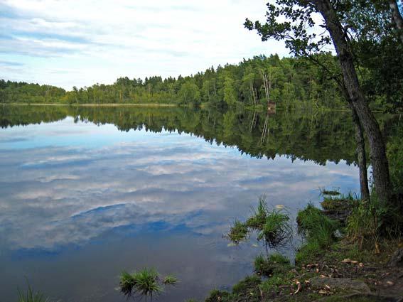 Det finns två utloppsdiken mot Mälaren, ett i söder och ett i öster. Flödena i båda dikena är små, vattnet når aldrig Mälaren utan infiltrerar i marken.