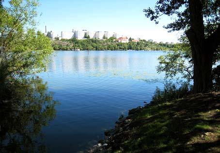 Östra Mälaren och dess vikar Årstaviken Årstaviken är en vik av Mälaren mellan västra Södermalm och Årsta.