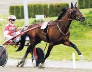 e Maharajah - : 0 0-0-0 0 : 0 0-0-0 0 Tot: 0 0-0-0 Rock Olga e Rotation Uppf: Johansson Thomas, Visby Äg: Johansson Thomas, Visby Svart, grå vinkel; svart Hellgren Alexandra (Johansson Thomas) a