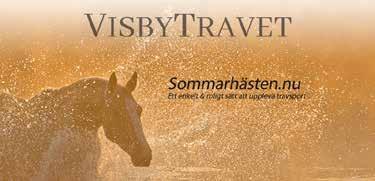 e One too Many - : 0 0-0-0 0 : 0 0-0-0 0 Tot: 0 0-0-0 Tuzzi e Juliano Star Hellgren A Vi / -p / 0 p, - - p Uppf: Stall Båtels AB, Visby Äg: Stall Qvist Jonsson Thomas (Herlin Angelica) DONNA CHESS