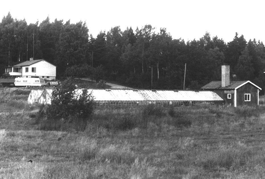 Trädgårdsmästeriet Mårtensberg Här rinner bäcken fortfarande längs Gudöbroleden som nu går hitom växthuset.