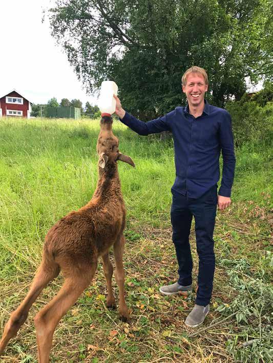 BYGDEN MELLAN BROARNA ellan Broarna Brobladet Nr 15 september 2017 Vallsundsbron Sannsundsbron och lite till Medlems-,