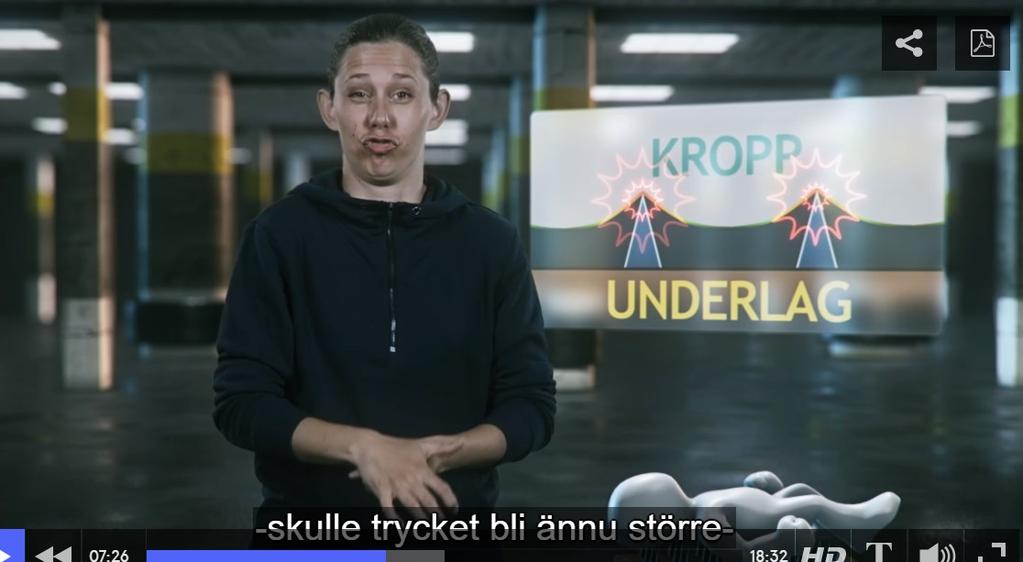 rör olika modaliteters potential för meningsskapande, alltså hur funktionella de är, bland annat beroende på vad som ska sägas.