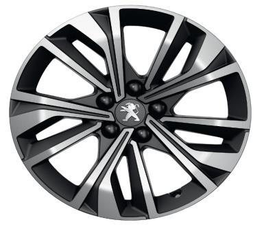 MERION med nödreservhjul ZHDG 5 900 kr 1 300 kr - - 17" tvåtons aluminiumfälg MERION