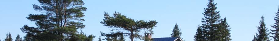 Liten vindpinad