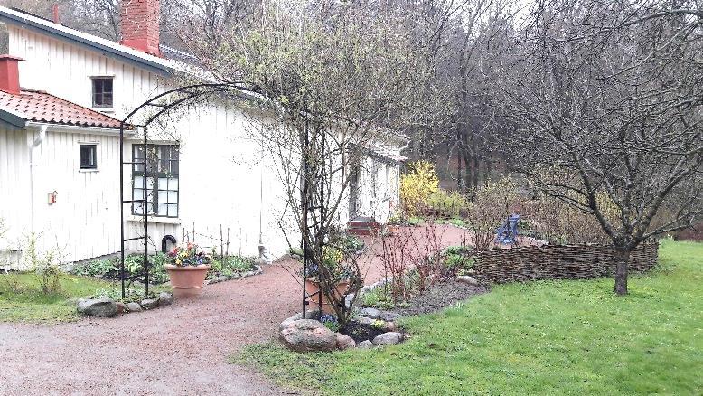 Göteborgs botaniska rehabiliteringsträdgård Bilden visar entrén till Gröna rehab i Göteborg. Entrén ramas in med en rosenpergola och årstidsvarierande rabatter.