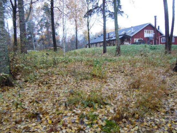 Samtliga av dem har dock genomgått mer eller mindre omfattande förändringar i form av om- och tillbyggnader, genomgripande renoveringar eller flyttningar.