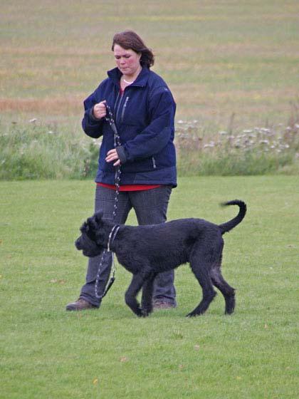 Anna och Kaito på väg