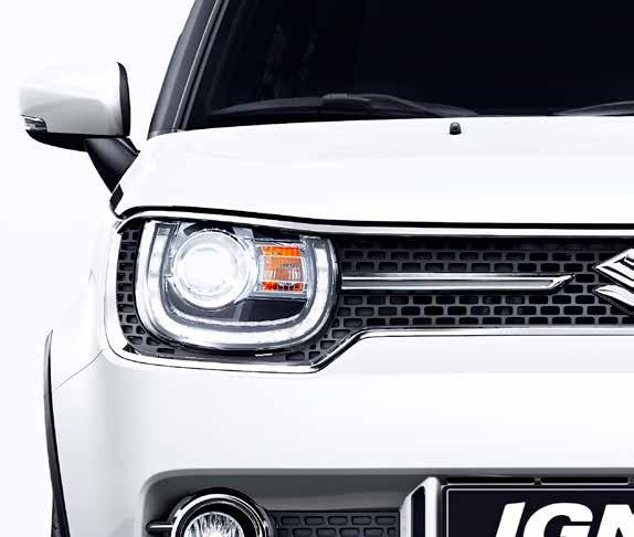 Suzukis långa erfarenhet av
