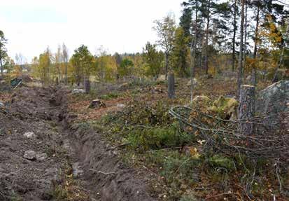 Den södra delen av Torshälla 8:1 med A1 belägen vid enen till höger i bild.