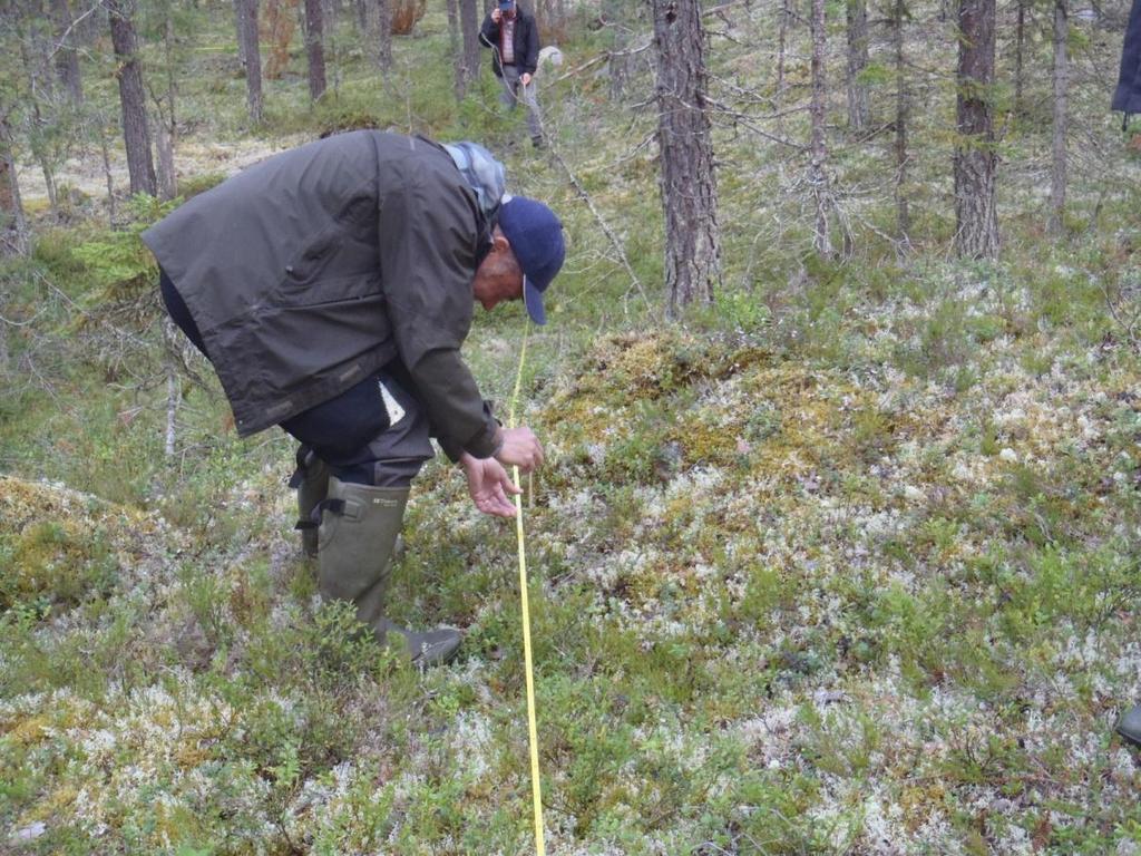 Synen på och bedömning av marklavars täckningsgrad är en annan viktig fråga där samsyn är av stort värde för dialog och samverkan.