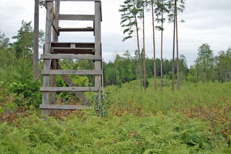 Kontakt Anders Boman, Telefon 0491-38 25 26 Vägbeskrivning Från Blomstermåla kör mot Ruda.