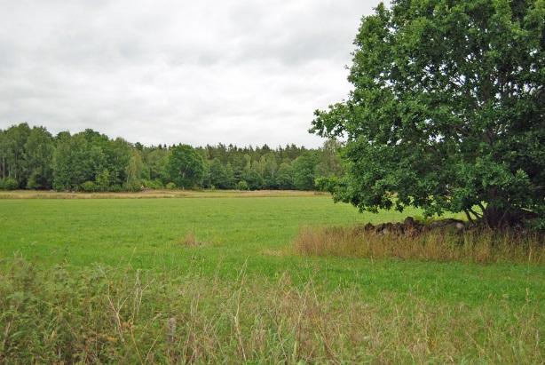 Mönsterås Sibbetorp 1:10 Ladugårdbyggnad Äldre vinkel byggnad från år 1913 med tak av plåt. Plåten på taket är från år 2013. Gjutet golv i logdelen från år 1996. Stall inredd för får skötsel.