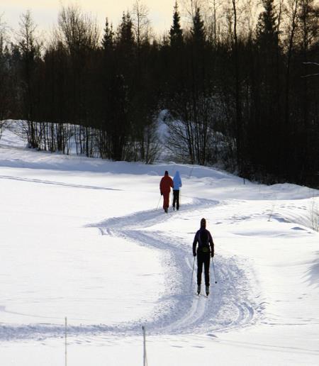 SID 15/33 - Landskapsbroar och viadukter över vattendrag och dalgångar minskar också barriäreffekterna och ska planeras in där behov finns.