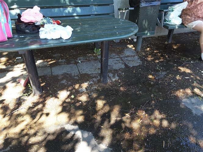 Sida 10 (20) 2.3.2. De 10 dammarna med flest bakterieöverskridanden Totalt sett var det något större antal bakterieöverskridanden i år jämfört med förra året.