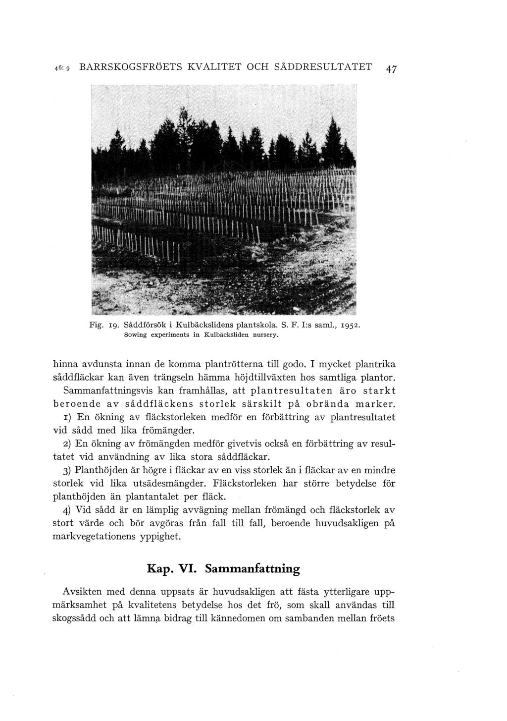 46:9 BARRSKOGSFRÖETS KVALITET OCH SÅDDRESULTATET 47 Fig. rg. Såddförsök i Kubäcksidens pantskoa. S. F. I:s sam., 1952. Sowing experiments in Kubäcksiden nursery.