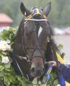 Värt att notera; Orlando Triss (nr 8/V-) har lämnat Jämtland och gör intressant debut i ny regi för Markus Pihlström. Normalt ett givet bud i den här omgivningen.