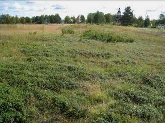Jukkasjärvi Kommun Beskrivning Motiv för urval Skydd Tillgänglighet Nyttjande Referenser Kiruna I Jukkasjärvi låg det en marknadsplats åtminstone under 1600- talet, kanske tidigare.