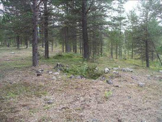 Louteenkoski Kommun Kiruna Beskrivning Motiv för urval Skydd Inom området vid Lainio