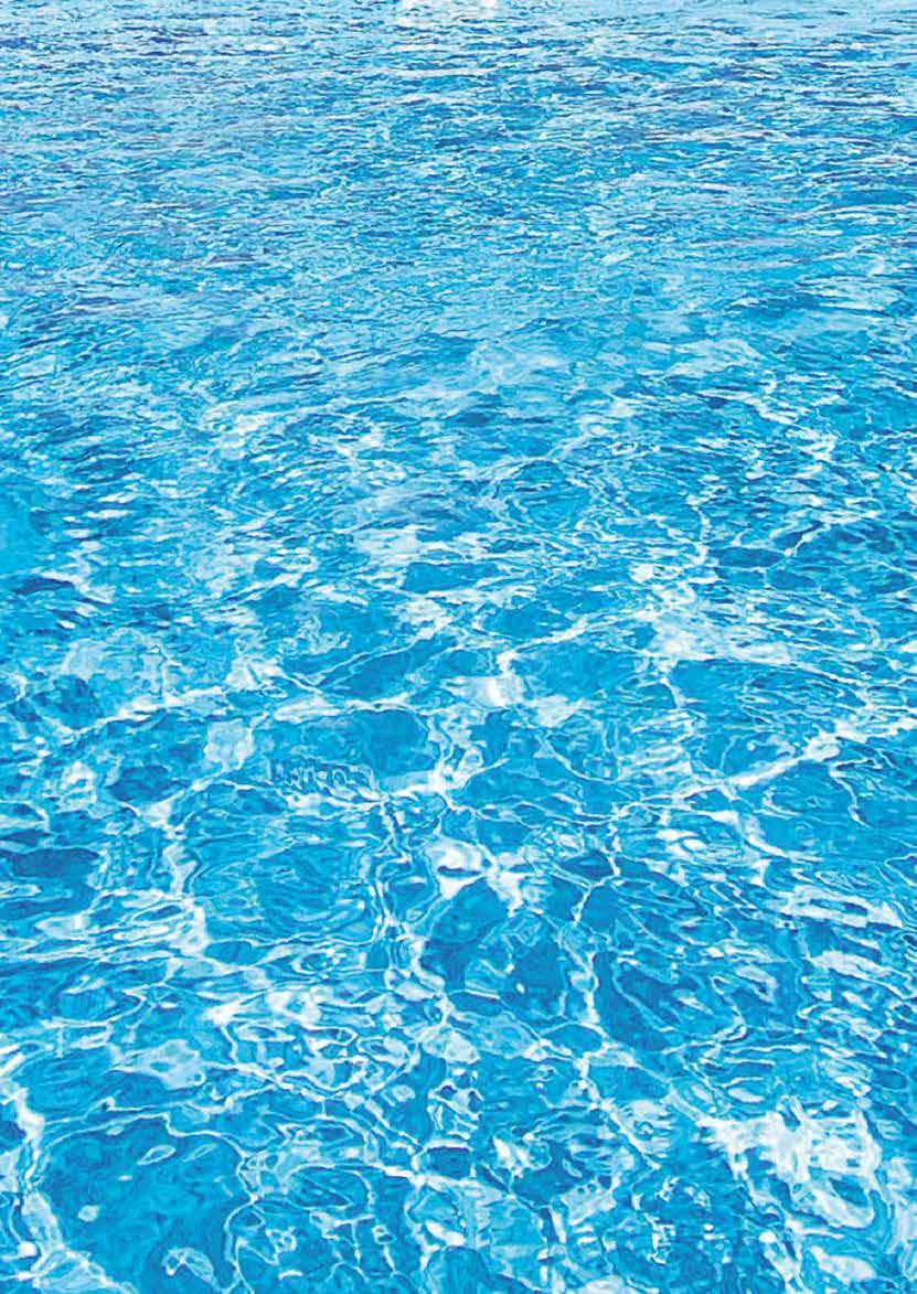 Pooler, pooltak,