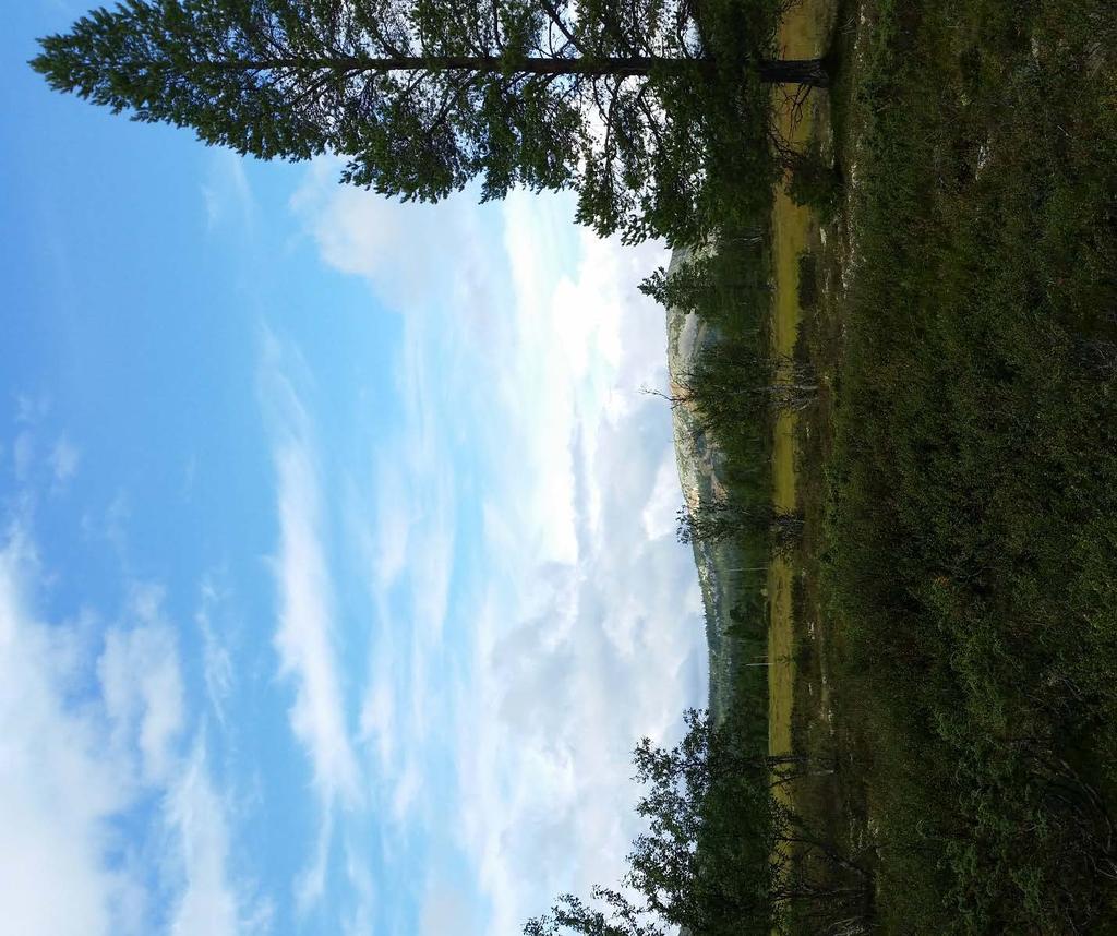 Detaljplan för Vemdalens kyrkby 33:25 m.