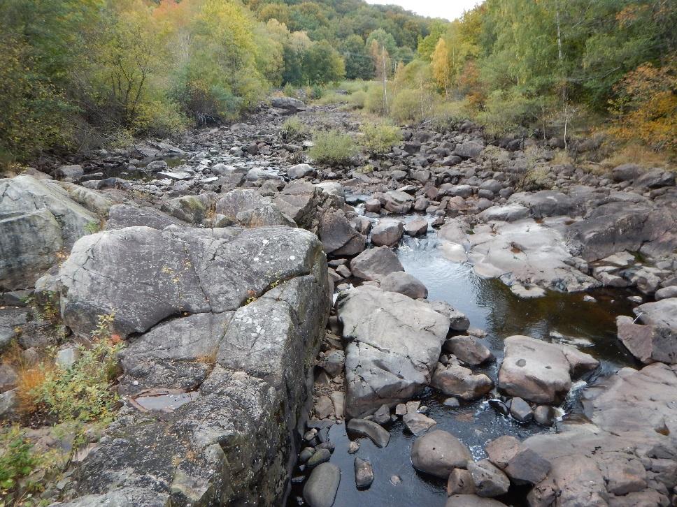 en minimitappning i naturfåran (utan fiskpassage) återskapas en areal som bedöms utgöra maximalt 5765 m². För att området ska få en bra funktion bedöms tappningen behöva vara minst 2-3 m3/s.