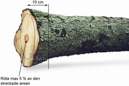 För både tall och gran gäller att skogsröta tillåts på maximalt 5 % av ändytan. Rötarean mäts/bedöms på faktisk ändyta.