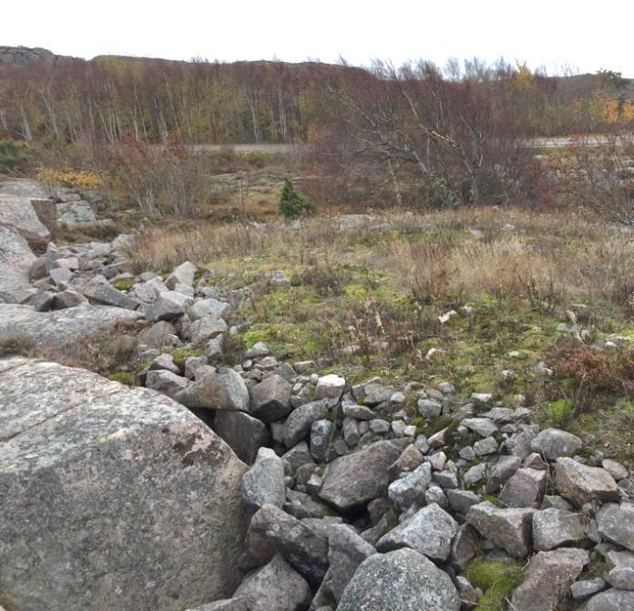 5 Söder om dammen finns spår av äldre tiders stenbrytning. Blockmarkerna och jordhögarna bedöms utgöra vintervisten för groddjur.