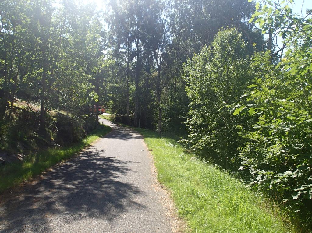 Foto 7. Längs asfalterad väg finns antydan till dike, i denna bild på vänster sida. 2.