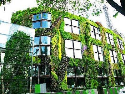 Gröna väggar Det finns två olika typer av växtlighet på väggar, gröna fasader och levande väggsystem (LWS, Living Wall systems).