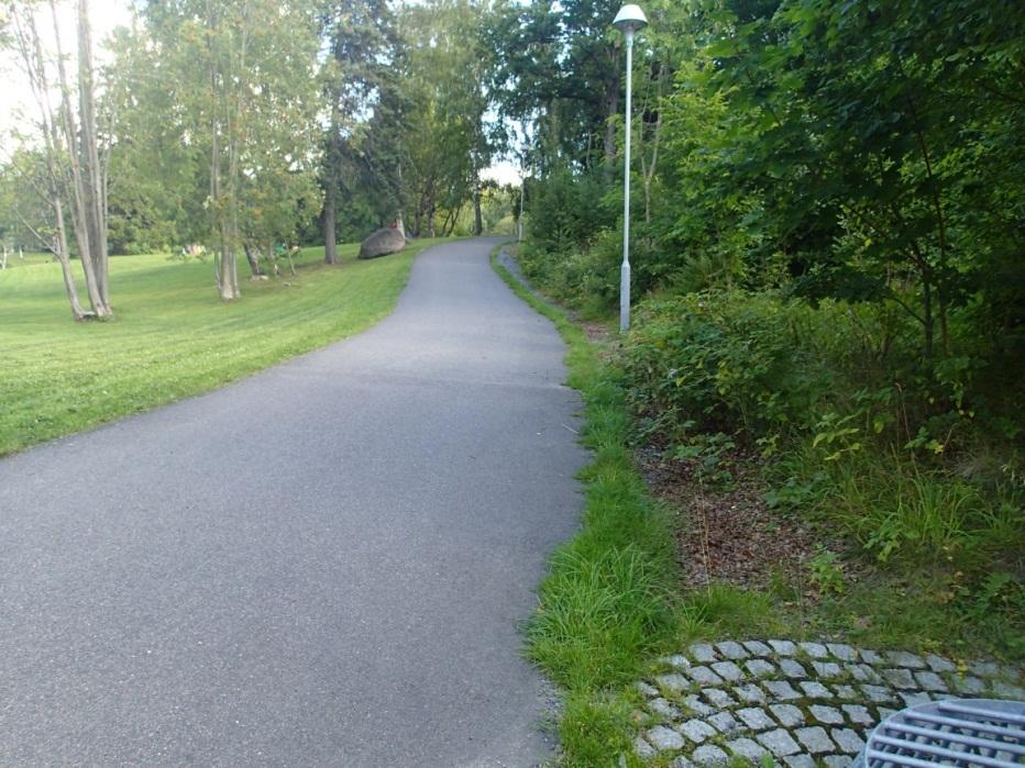 Foto 3. Dike längs asfalterad väg i södra delen av utredningsområdet Foto 4.