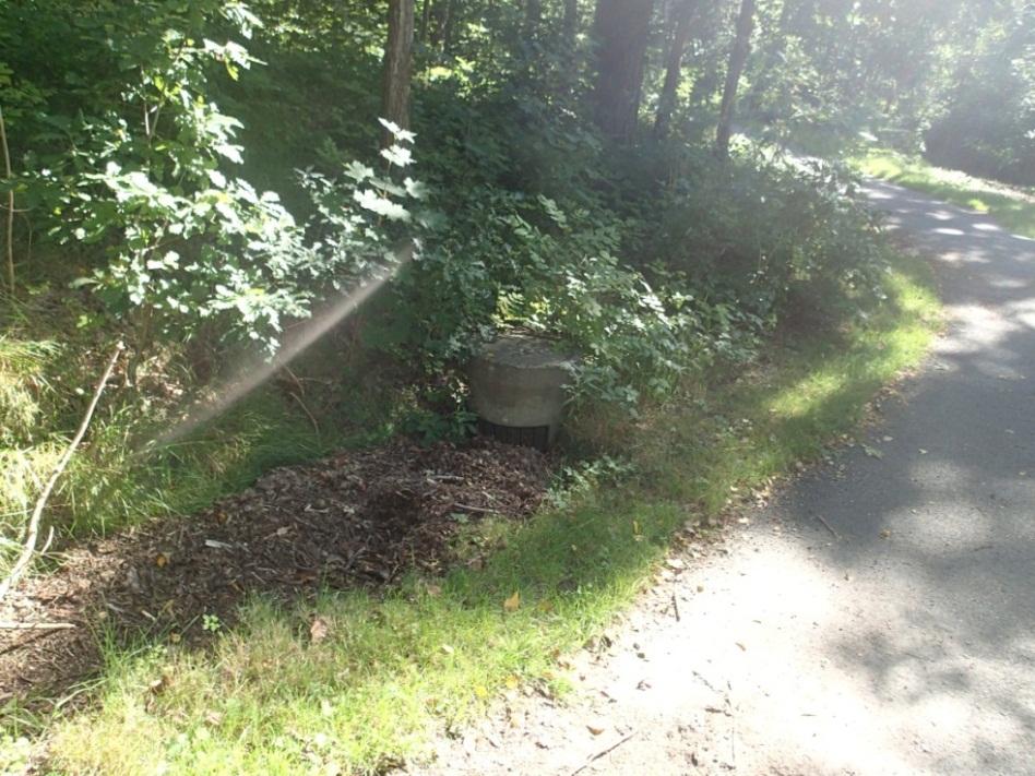 2 Område 2 I den östra delen av området finns ett kortare dike längs en asfalterad yta (liten P-plats med mera) som går i riktning