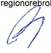 1 Regionfullmäktige www.