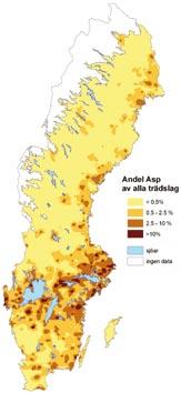 Aspens tidigare dåliga rykte hänger samman med dess roll som värd för knäckesjuka, vilken är en svampsjukdom som angriper tallens skott.